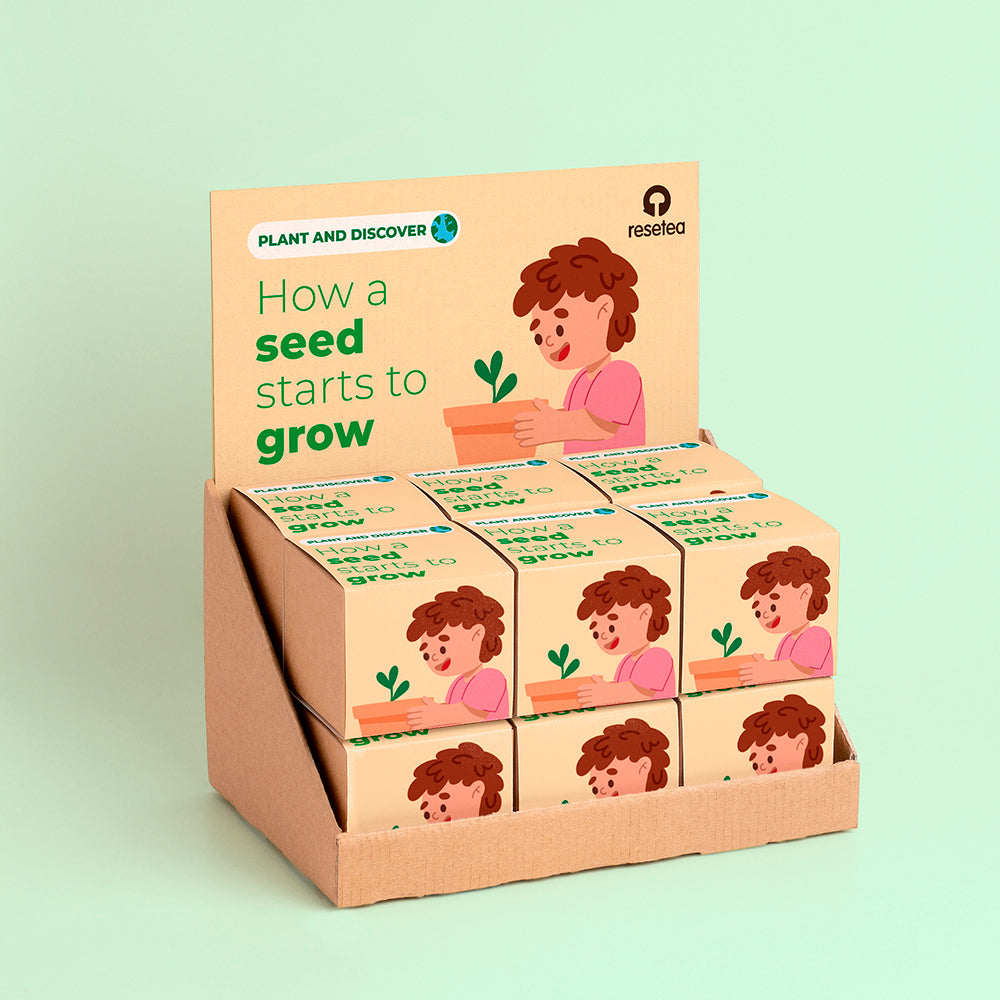 Display Plant and Discover Resetea – Jak kiełkuje nasiono