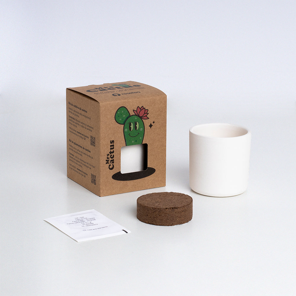 Roślinka Mrs Cactus Resetea