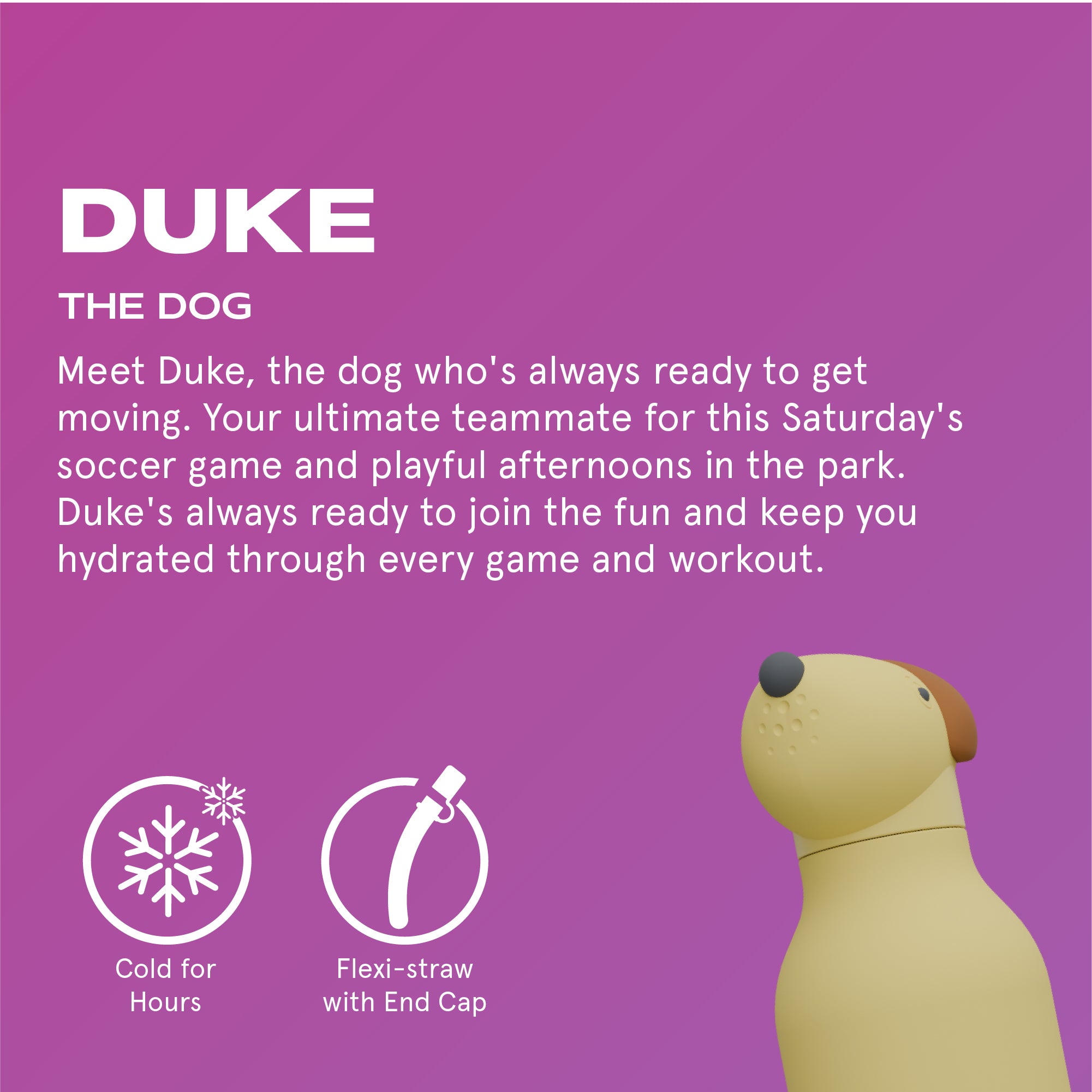 Bouteille isotherme avec paille Bestie Asobu – Chien 460 ml