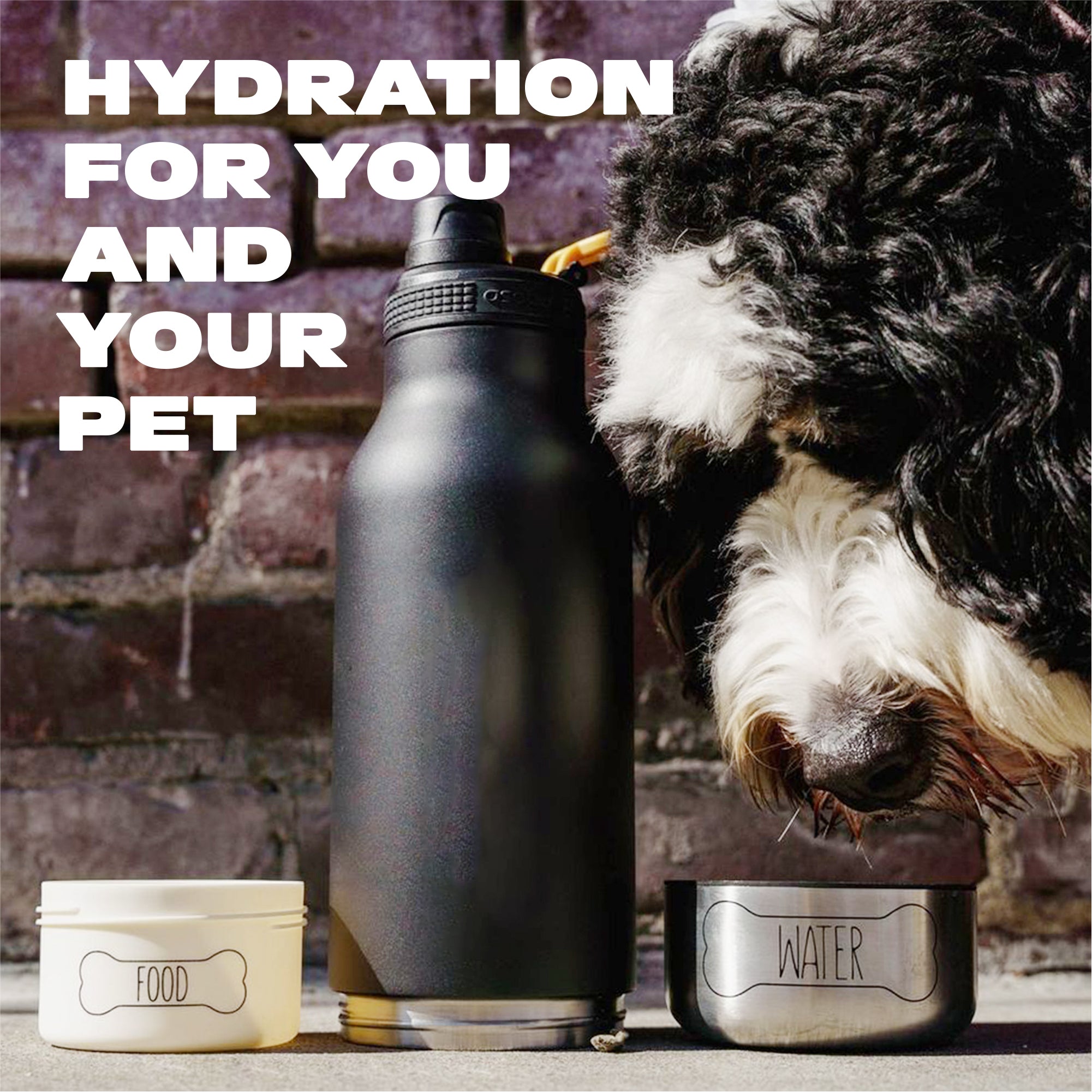 Bouteille de gamelle pour chien Buddy Asobu – pêche pastel 1 l