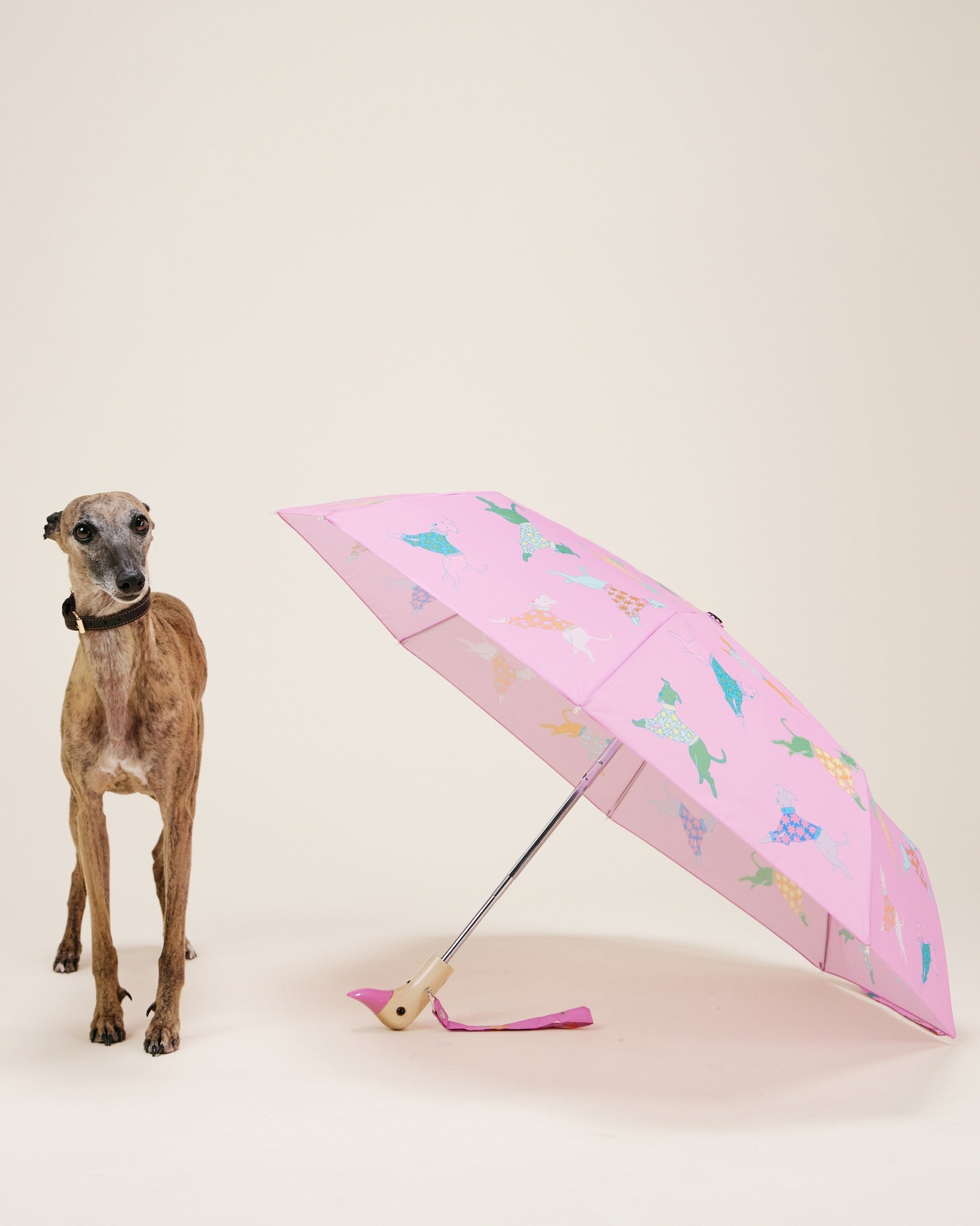 Parasolka kaczka Original Duckhead – Dogs in Pink