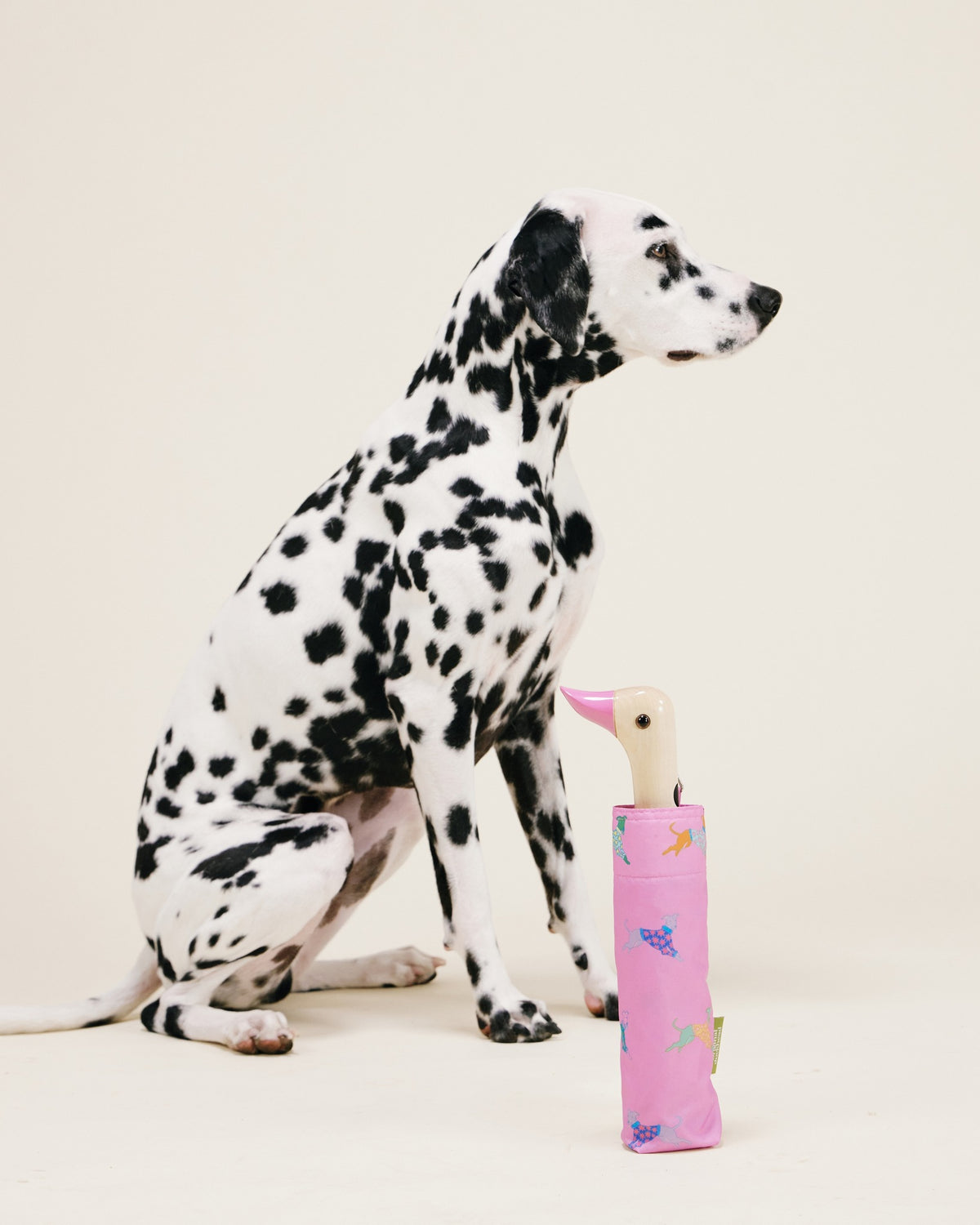 Parasolka kaczka Original Duckhead – Dogs in Pink