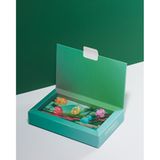 Pin's Summies - Dinosaures