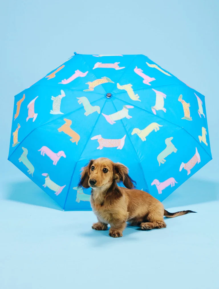 Parasolka kaczka Original Duckhead – Dogs in Blue